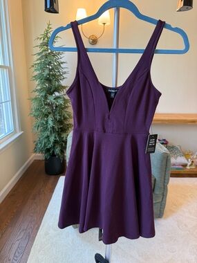 Express Deep Plum V-Neck Fit & Flare Mini Dress